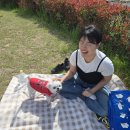 [공지] 영코스메틱 설명서📃/ 부산 피부 무료 진단, 에스테틱 화장품 전문