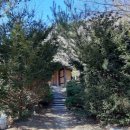 청향소림산장 이미지