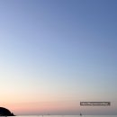 펫스타(마산1호점) | 부산여행 2일차 (feat.광안리, 해운대 시장)