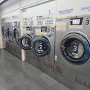 화이트운동화&빨래방 이미지