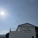 구도목장 | 제주여행에서 제일 돈 많이 쓴 곳｜목장카페 밭디 말타기·기프트샵 솔직 리뷰