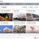 개화펜션 이미지