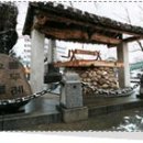 합수목의 봄 이미지