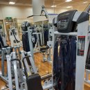 다이나포스헬스클럽 이미지