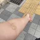 송수진산부인과의원 이미지