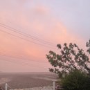 스테이복 이미지