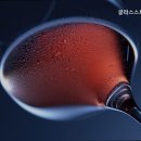 글라스스토리 덕이점 이미지