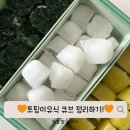 토핑이유식 큐브 용기 통 이지앤프리 튼튼이 냉동 정리함 후기