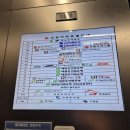 선릉역 눈썹 채움 추천 테오트리 강남점 눈썹채우기 후기