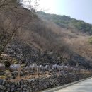 항골계곡야영장 이미지