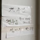 신읍5일장 | [8월 포천 2박 3일 여행 1편] 고석정나들이, 비둘기낭 폭포, 한탄강Y자출렁다리, 포천 신읍 5일장 후기