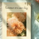 디자인비커스