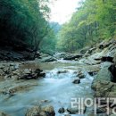 지곡유원지 이미지