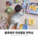 로이월드 | 블루래빗 오감발달 토이북 8개월 아기 언어발달 소전집 핫딜로 고고