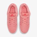 핑크돼지(pinkpig)