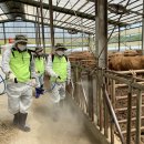 소모아농장 이미지