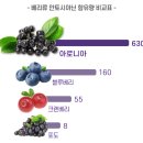 동도상회