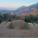 경북 고령 만대산 고령신씨 시조묘(緩急도 음양이다) 이미지