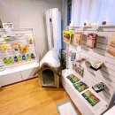 부산애견 이미지