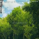 남자 아이들의 폭력의 세계, 그 폭발성에 대하여 이미지