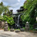 낭커피(NANG COFFEE) 이미지