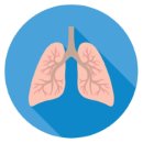 폐의 위치와 기능은? 폐암 종류 및 특징 이미지