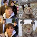 데이마크