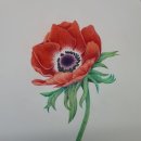 [주말]보테니컬 아트 이미지