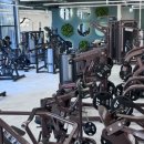 신진그린 이미지