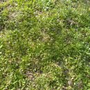 용안농약사 이미지