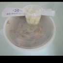 단촌식당 이미지