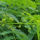 국보환경(주) 네이버블로그