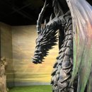 마성길L | [제주] 드디어 상륙! '스튜디오 지브리展 in Jeju' 안내 및 후기 (1차 얼리버드 입장 특전 증정)