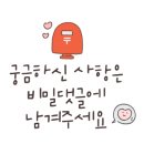 묘한하루 이미지