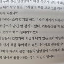 여정 | <한국으로 가는 여정> 후기