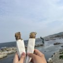 영일대 용가리 오락실 | 🌊포항 호미곶🫴🏻, 영일대 야경🌆✨ ( 포항 맛집 추천 뽈불고기🐟)