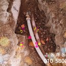 동진 수족관 이미지