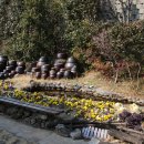 꽃섬나드리 이미지