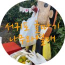 제주도 서귀포 귤따기 체험 (나무와열매) 별로였던 후기