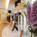 베라카채플웨딩 이미지