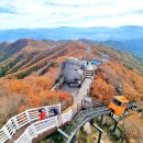 만복이네 이미지