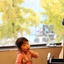 세인유치원 이미지