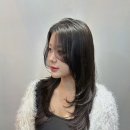 유성헤어