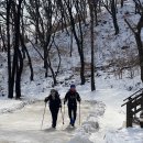 24년 1월 1일 첫 산행 '운길산' 이미지