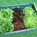 담수농장 이미지