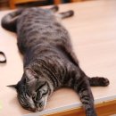 미소지음 이미지