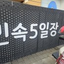 모란시장(기름시장) | 성남 모란시장, 명절 방문 후기! 주차전쟁과 도래창 돼지부속 &amp; 개구리튀김