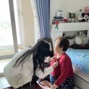 향동종합사회복지관 이미지