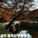 대광찻집 | 공주 마곡사 단풍 절정｜무료 입장 가능한 가을 단풍명소 다녀왔어요