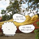 수당골식당 | #5 2026.05